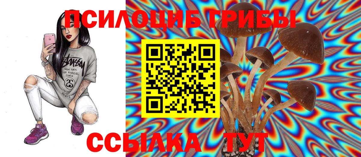 Галлюциногенные грибы Psilocybine cubensis Курчалой